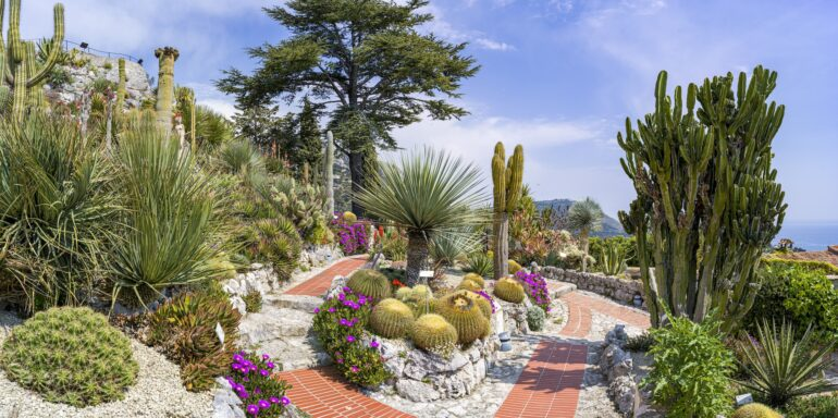 Jardin Exotique d'Èze 8