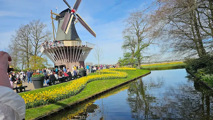 Placeholder — Keukenhof tulip fields park 3