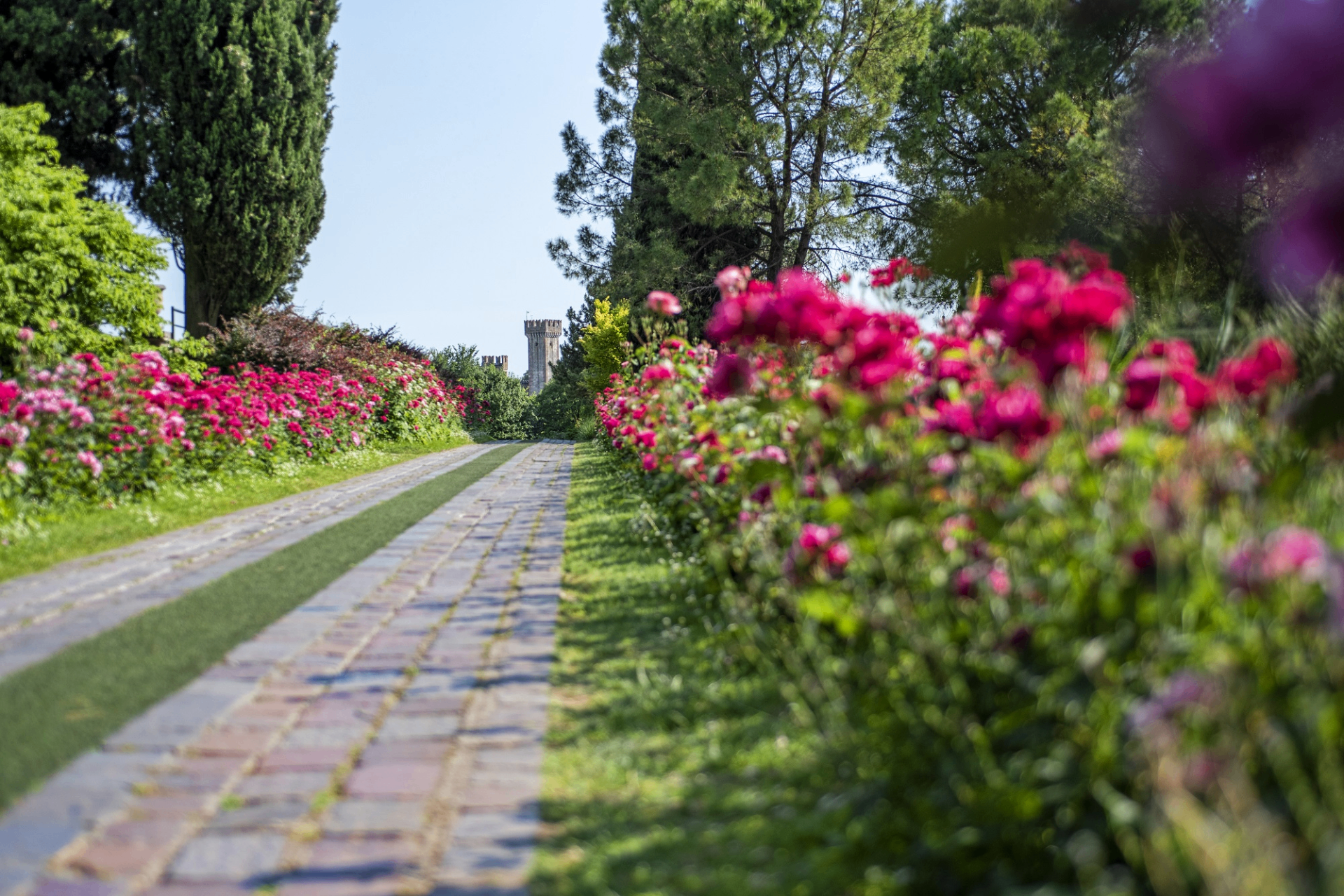 Parco Giardino Sigurtà 5