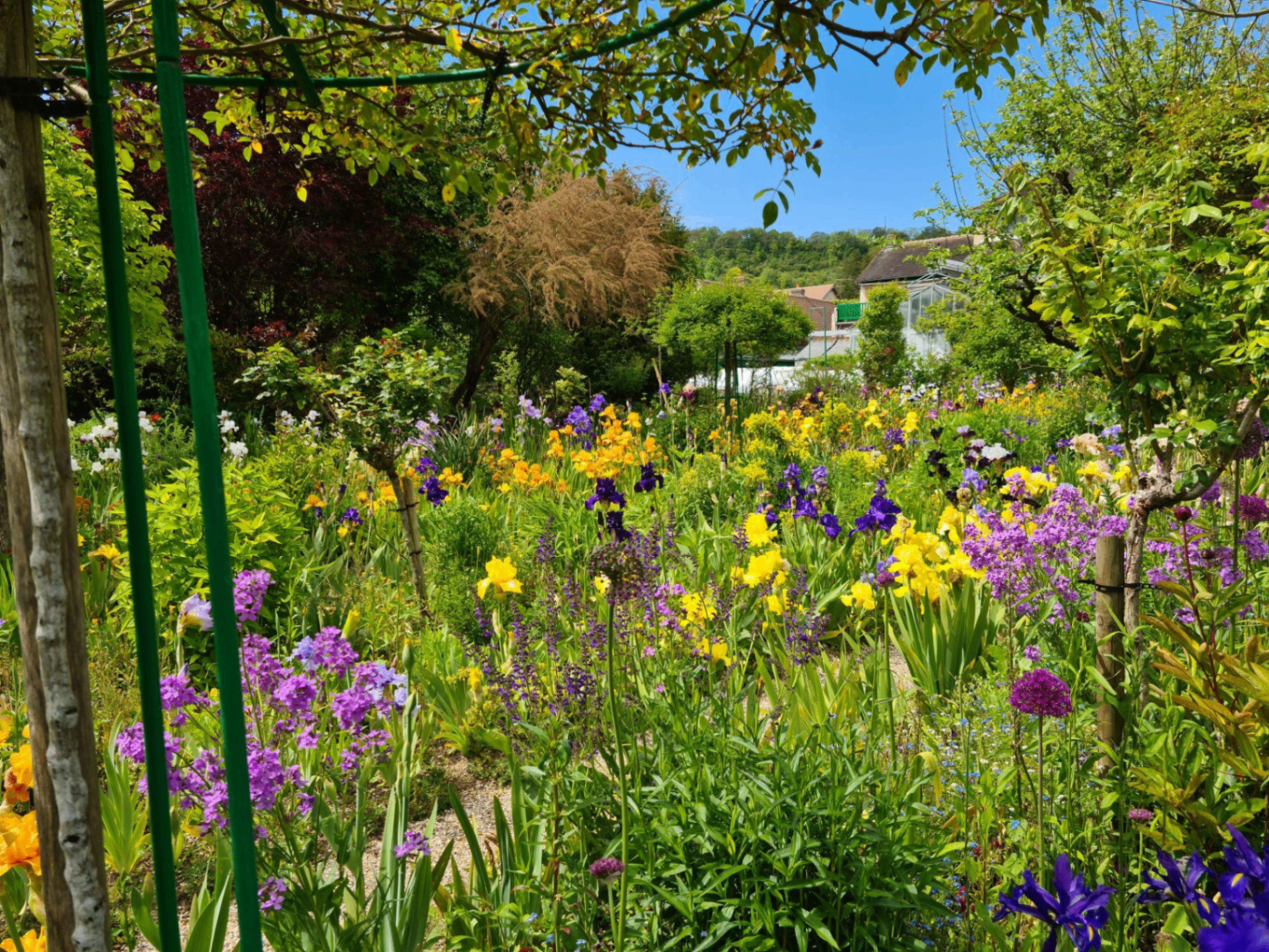 Monet's Garden 5