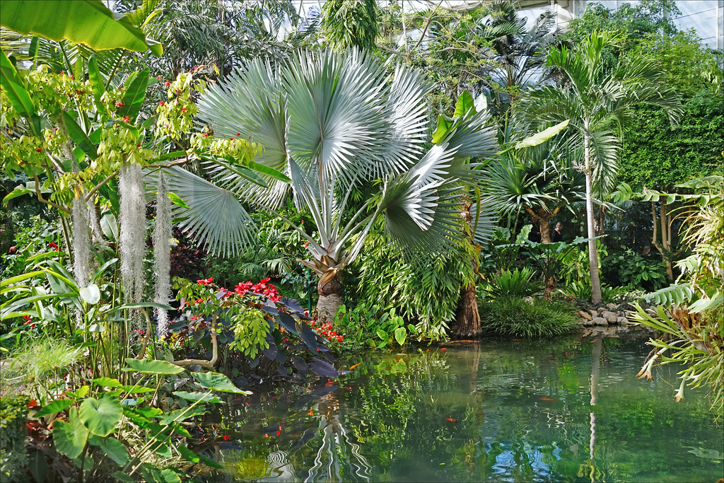 Parc Phoenix 6