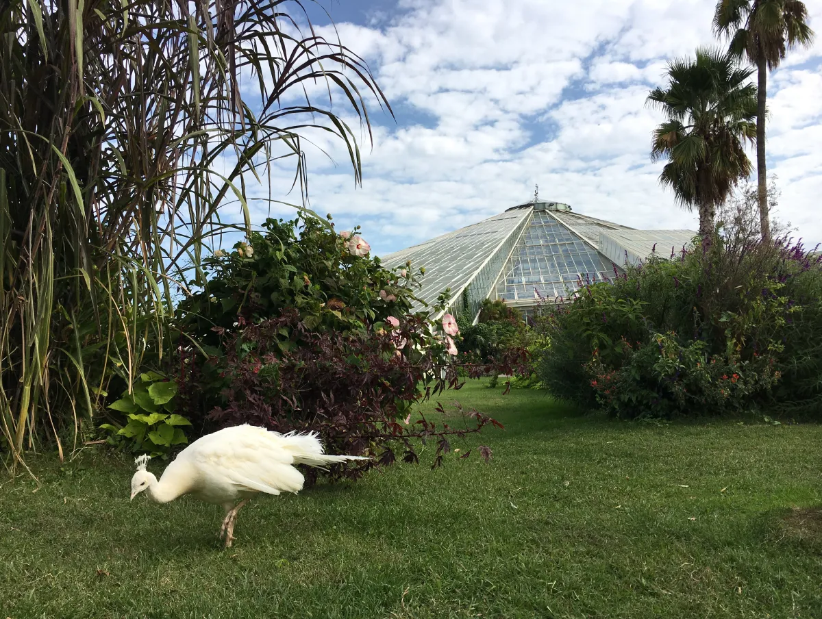 Parc Phoenix 3