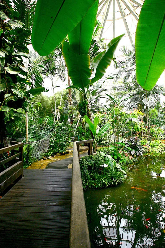 Parc Phoenix 8