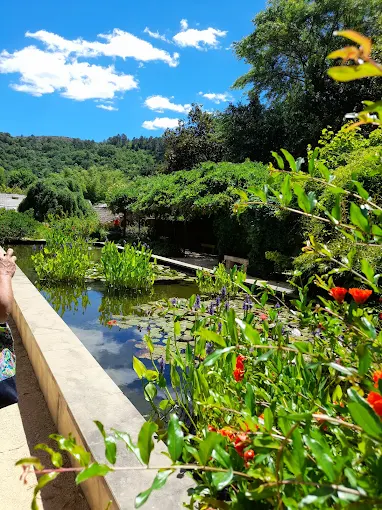 Bambouseraie en Cévennes 8