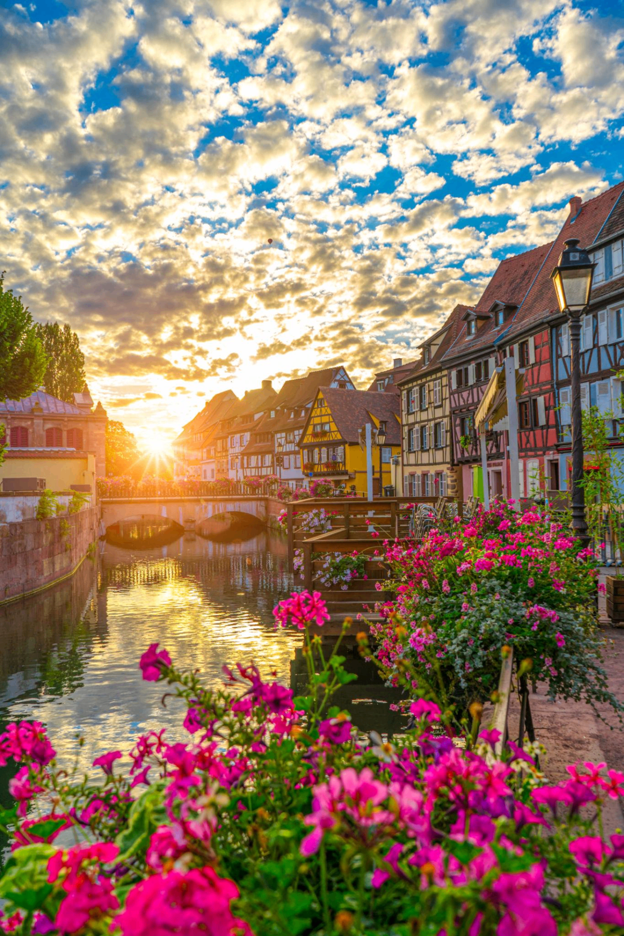 Colmar 4