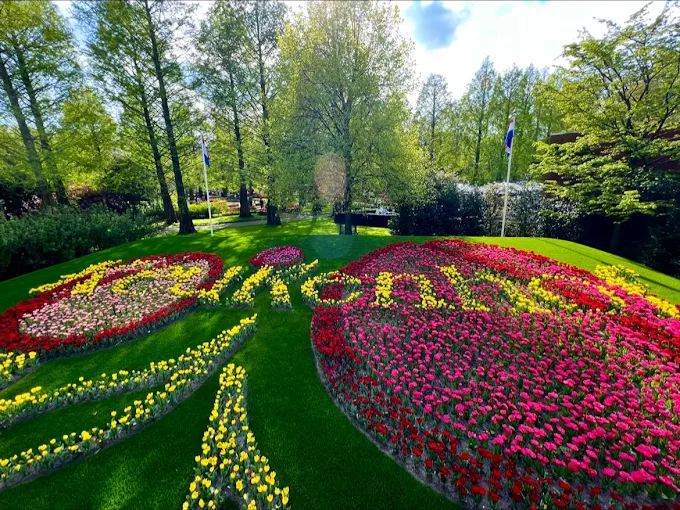 Placeholder — Keukenhof tulip fields park 9