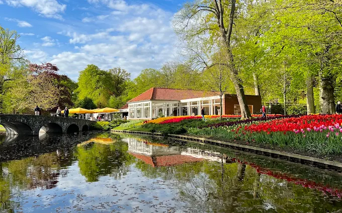 Placeholder — Keukenhof tulip fields park 2