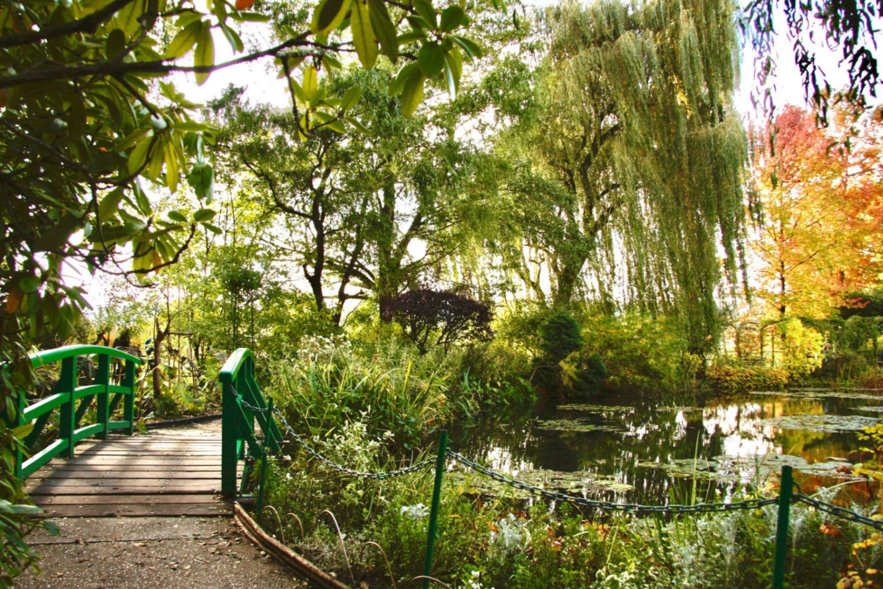Monet's Garden 4