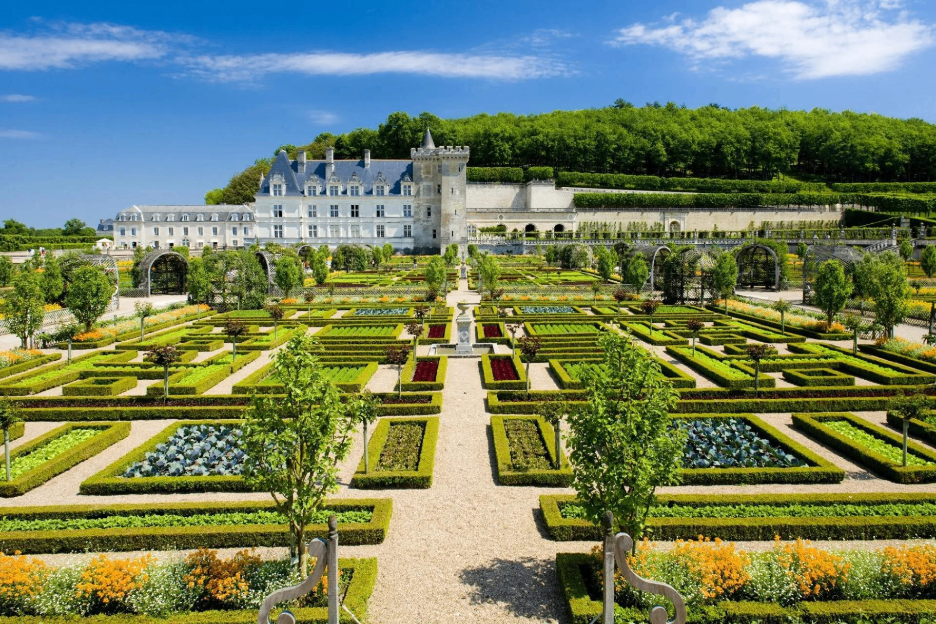 Château de Villandry 2