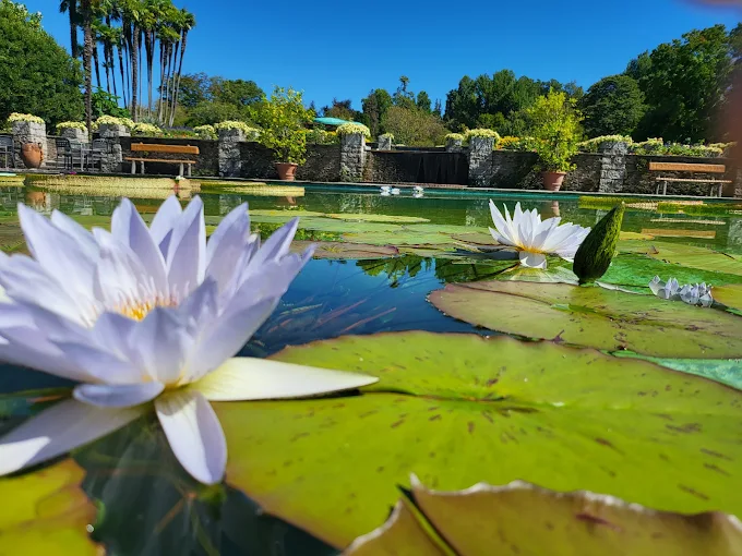 Villa Taranto Botanical Gardens 3