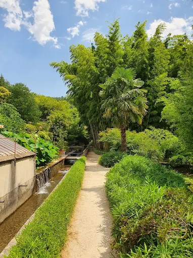 Bambouseraie en Cévennes 2